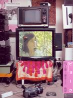 ビョーク／ミニュスクル