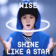 ＷＩＳＥ／ＳＨＩＮＥ　ＬＩＫＥ　Ａ　ＳＴＡＲ【デビュー１ヶ月限定特別価格盤／ソロ・デビュー作】