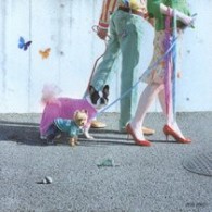 ＤＲＥＡＭＳ　ＣＯＭＥ　ＴＲＵＥ／大阪ＬＯＶＥＲ