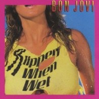 ボン・ジョヴィ／ワイルド・イン・ザ・ストリーツ【初回受注完全生産限定／ＳＨＭ－ＣＤ仕様】