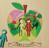 矢井田瞳／同情みたいなＬＯＶＥ【通常盤】