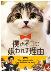 僕がネコに嫌われる理由