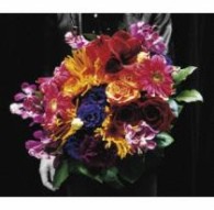 Ｔｈｅ　Ｂｉｒｔｈｄａｙ／さよなら最終兵器【通常盤】