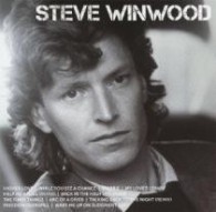 スティーヴ・ウィンウッド／アイコン～ベスト・オブ・スティーヴ・ウィンウッド【期間限定出荷商品（２０１２年１２月末まで）】