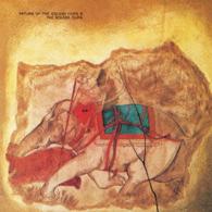 ザ・ゴールデン・カップス／ザ・フィフス・ジェネレーション