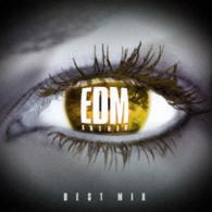 アリアナ・グランデ／ＥＤＭ　ＡＮＴＨＥＭ　－ＢＥＳＴ　ＭＩＸ