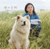 薬師丸ひろ子／僕の宝物