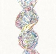 ＲＡＤＷＩＭＰＳ／ドリーマーズ・ハイ