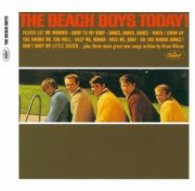ザ・ビーチ・ボーイズ／トゥデイ【一部ステレオ録音】