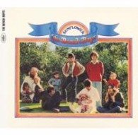 ザ・ビーチ・ボーイズ／サンフラワー