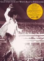 ＧＬＡＹ／ＧＬＡＹ　ＤＯＭＥ　ＴＯＵＲ　２００５“ＷＨＩＴＥ　ＲＯＡＤ”ｉｎ　ＴＯＫＹＯ　ＤＯＭＥ　２００５．３．１２＆３．１３