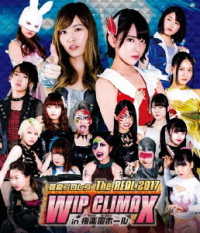 豆腐プロレス　Ｔｈｅ　ＲＥＡＬ　２０１７　ＷＩＰ　ＣＬＩＭＡＸ　ｉｎ　８．２９　後楽園ホール Ｂｌｕ－ｒａｙ　Ｄｉｓｃ