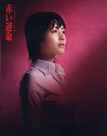 赤い運命　ＤＶＤ－ＢＯＸ