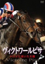 ヴィクトワールピサ　ドバイに咲いた大輪