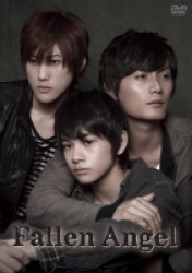 Ｆａｌｌｅｎ　Ａｎｇｅｌ　ＤＶＤ－ＢＯＸ