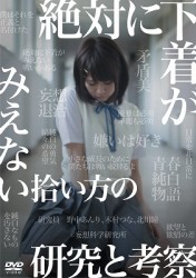 絶対に下着がみえない拾い方の研究と考察
