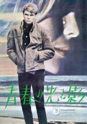 青春の光と影
