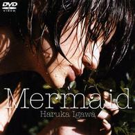 Ｍｅｒｍａｉｄ