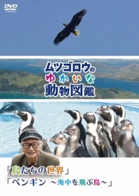 『ムツゴロウのゆかいな動物図鑑』シリーズ「鳥たちの世界」「ペンギン　～海中を飛ぶ鳥～」