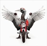 つるの剛士／つるばむ（ＤＶＤ付）