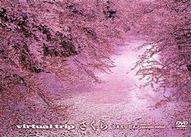 ｖｉｒｔｕａｌ　ｔｒｉｐ　さくら（トールサイズ・リニューアル）