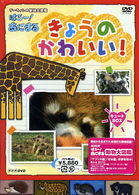 きょうのかわいい！　キュートＢＯＸ