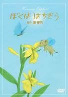 葉祥明「ぼくは　はちぞう」