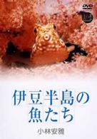 大自然ライブラリー　伊豆半島の魚たち　小林安雅