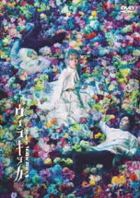 ミュージカル『ヴェラキッカ』ＤＶＤ　通常版