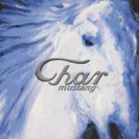 Ｃｈａｒ／ＭＵＳＴＡＮＧ