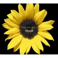 スガシカオ／サヨナラホームラン【通常盤】