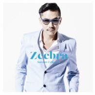 ＺＥＥＢＲＡ／Ｓｕｍｍｅｒ　Ｃｏｌｌｅｃｔｉｏｎ