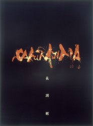 長渕剛／桜島 Ｂｌｕ－ｒａｙ　Ｄｉｓｃ