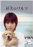仔犬のワルツ　ＤＶＤ－ＢＯＸ