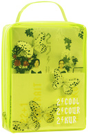 ２クール　ＤＶＤ－ＢＯＸ