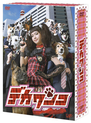 デカワンコ　ＤＶＤ－ＢＯＸ