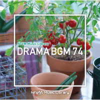 信澤宣明／ＮＴＶＭ　Ｍｕｓｉｃ　Ｌｉｂｒａｒｙ　ドラマＢＧＭ７４