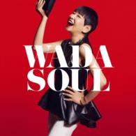 和田アキ子／ＷＡＤＡＳＯＵＬ