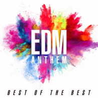 ＤＪスネイク／ＥＤＭ　ＡＮＴＨＥＭ　－ＢＥＳＴ　ＯＦ　ＴＨＥ　ＢＥＳＴ－
