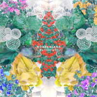 Ｎｏｖｅｌｂｒｉｇｈｔ／ＷＯＮＤＥＲＬＡＮＤ