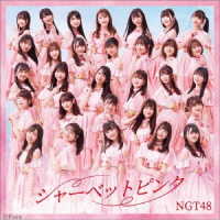 ＮＧＴ４８／シャーベットピンク（ＴＹＰＥ－Ａ）