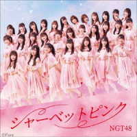 ＮＧＴ４８／シャーベットピンク（ＴＹＰＥ－Ｂ）