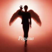 布袋寅泰／Ｐｅｇａｓｕｓ