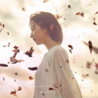 Ｎｏｖｅｌｂｒｉｇｈｔ／ｓｅｅｋｅｒ／ワンルーム