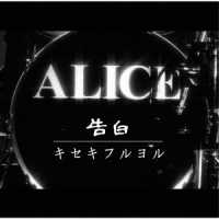 アリス／告白／キセキフルヨル