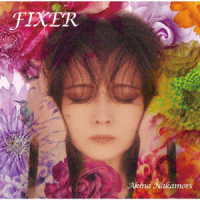中森明菜／ＦＩＸＥＲ