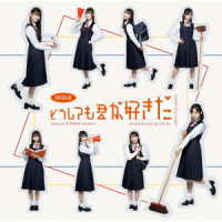 ＡＫＢ４８／どうしても君が好きだ（初回限定盤Ｔｙｐｅ－Ｂ）