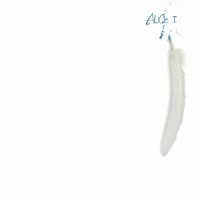 アリス／ＡＬＩＣＥ　Ｉ　＋４