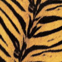 ＴＨＥ　ＨＩＧＨ－ＬＯＷＳ／Ｔｉｇｅｒｍｏｂｉｌｅ