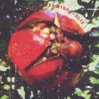 遠藤賢司／エンケンロックベスト盤１９９６～２０１２